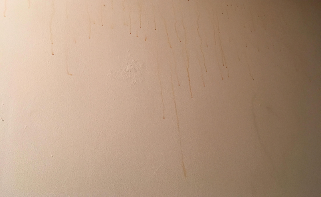 Surfactant Leaching LOPCO Contracting RI