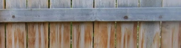 What is Cedar Bleed? - LOPCO Contracting RI