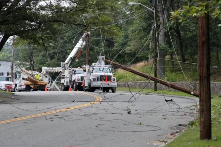 When A Tree Falls On The Power Lines, Who Is Responsible For What ...